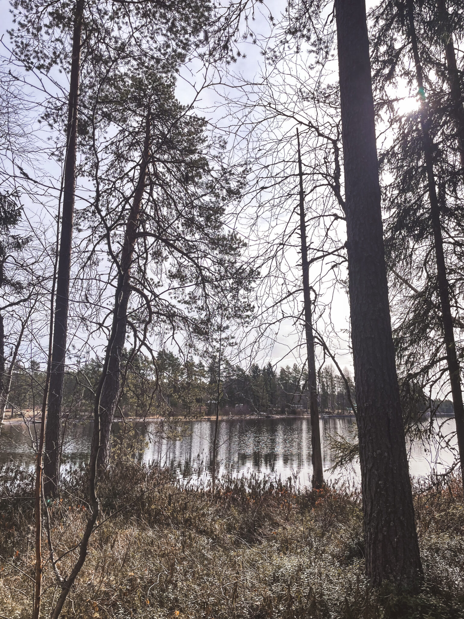 kierinniemen luontopolku