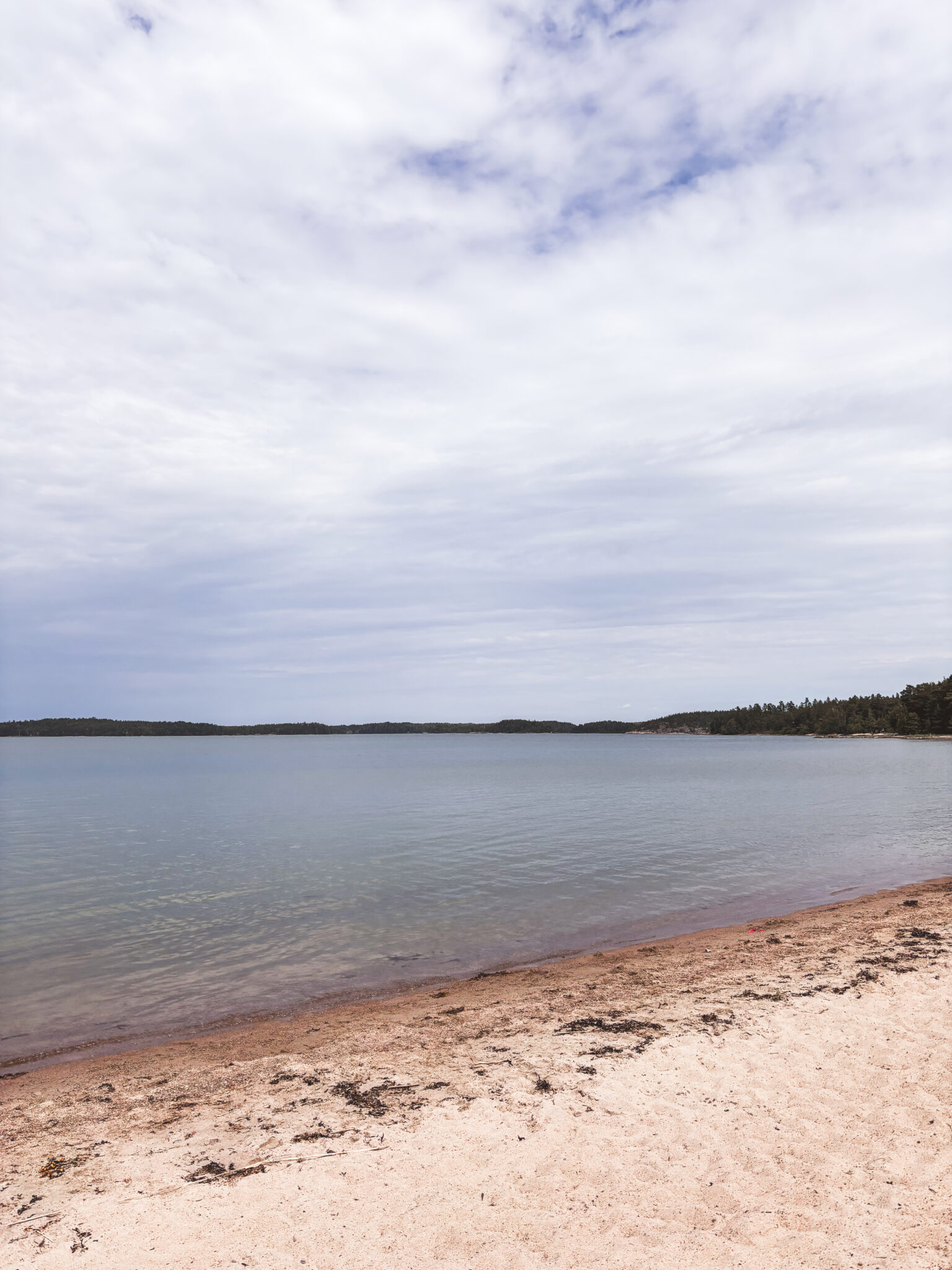 Västerbuktenin ranta